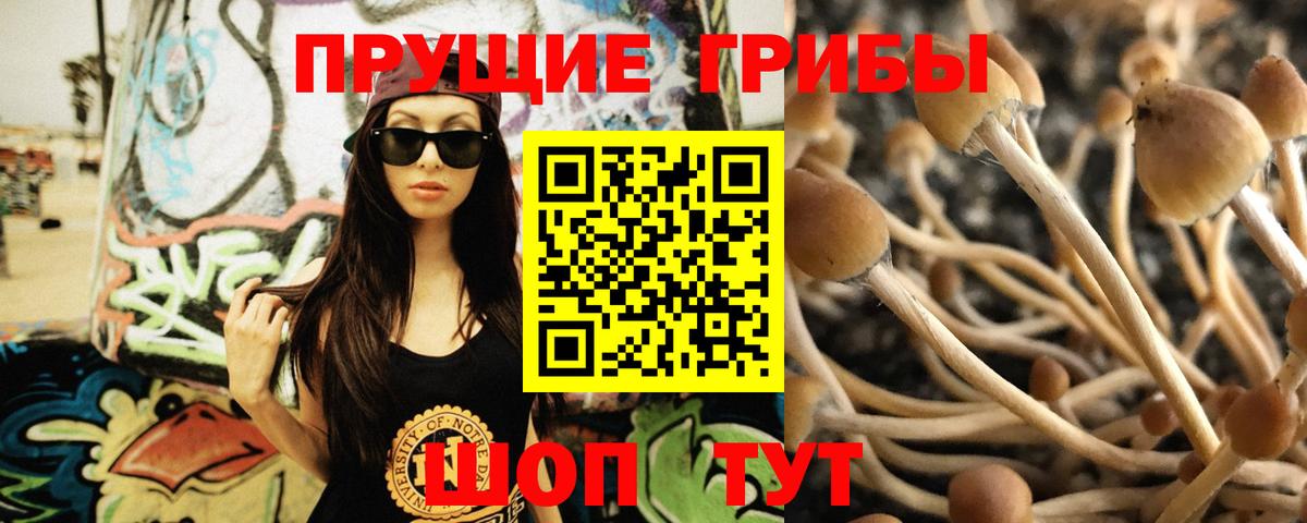 Галлюциногенные грибы Psilocybe Белогорск